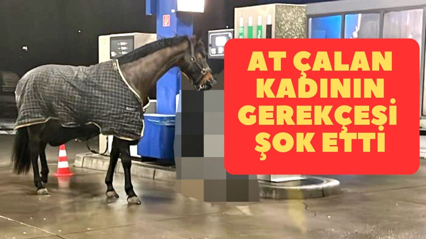 At çaldı öyle bir gerekçe söyledi ki