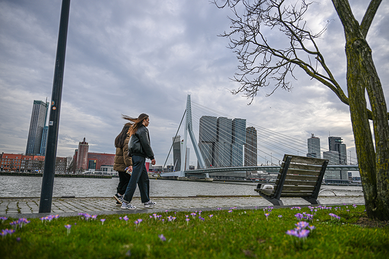 Hollanda’da kış ortasında rekor sıcaklık: Rotterdam 17 dereceyi gördü (VİDEO)